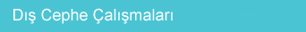 Dış Cephe Çalışmaları